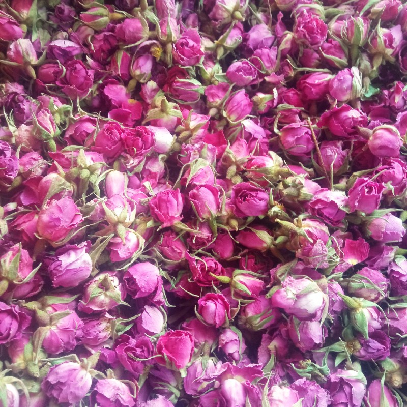 غنچه خشک گل محمدی