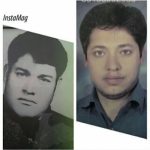 محمود طالبی