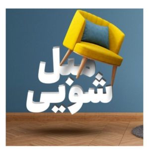 شرکت مبلشویی   پاک نهال
