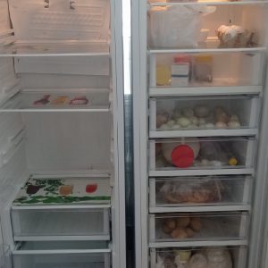 یخچال فریزر دوقلو سینجر