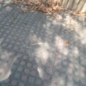 سندوملک برای آزادی زندانی شما