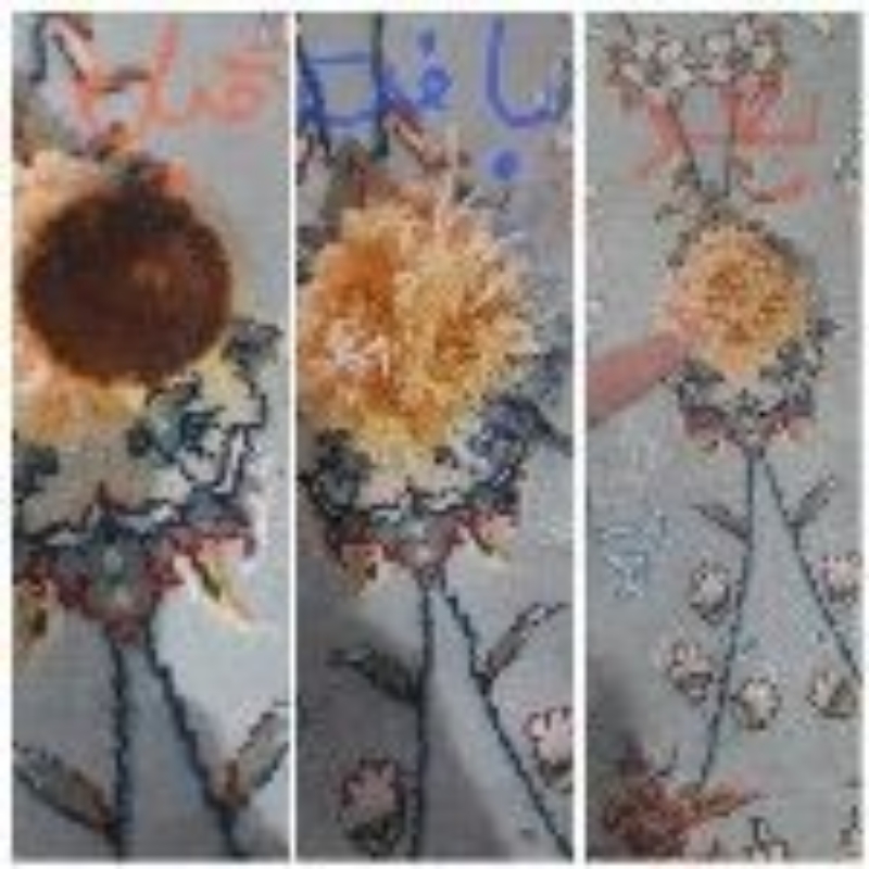 رفوگری تخصصی فرش درمشهد